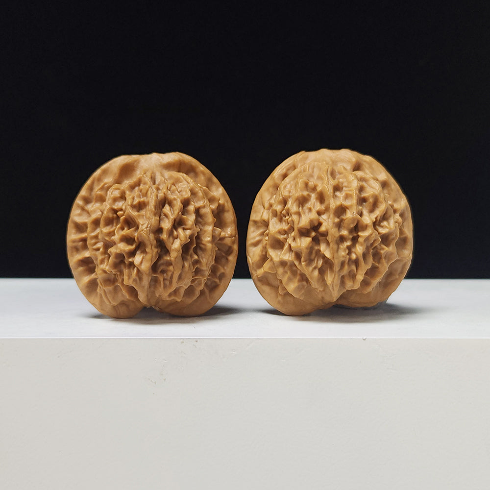 The "Noble Scholar" (Qin Gong Zi) Low-Profile Pair | 37.0mm x 34.0mm | QGZ-A-003035