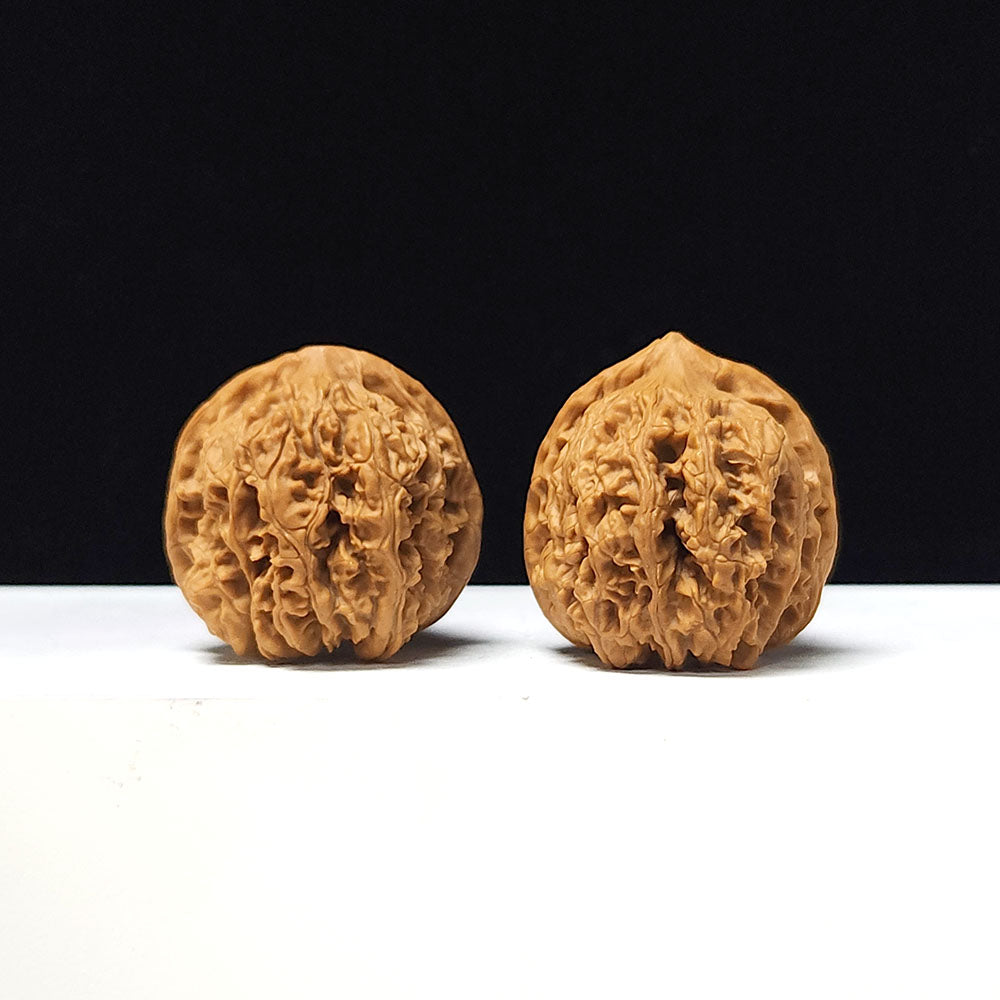 The "Ancient Toad x Caterpillar" Collector Pair | A-Grade Collector Tier | 36.0mm x 36.0mm | SZ-A-061645