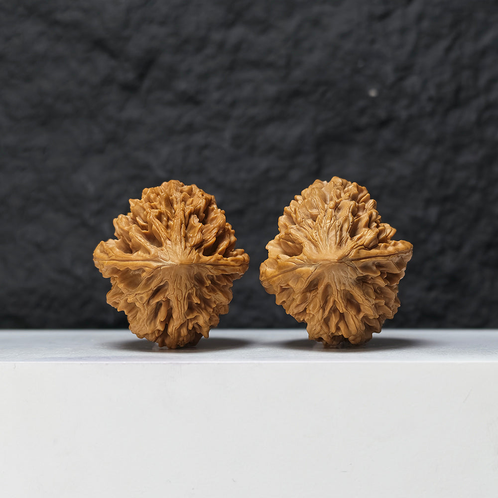 "Fortune Mouse" Zhao Cai Shu JX-S-005503 Collector Pair | 38.0mm x 42.0mm | JX-S-005503