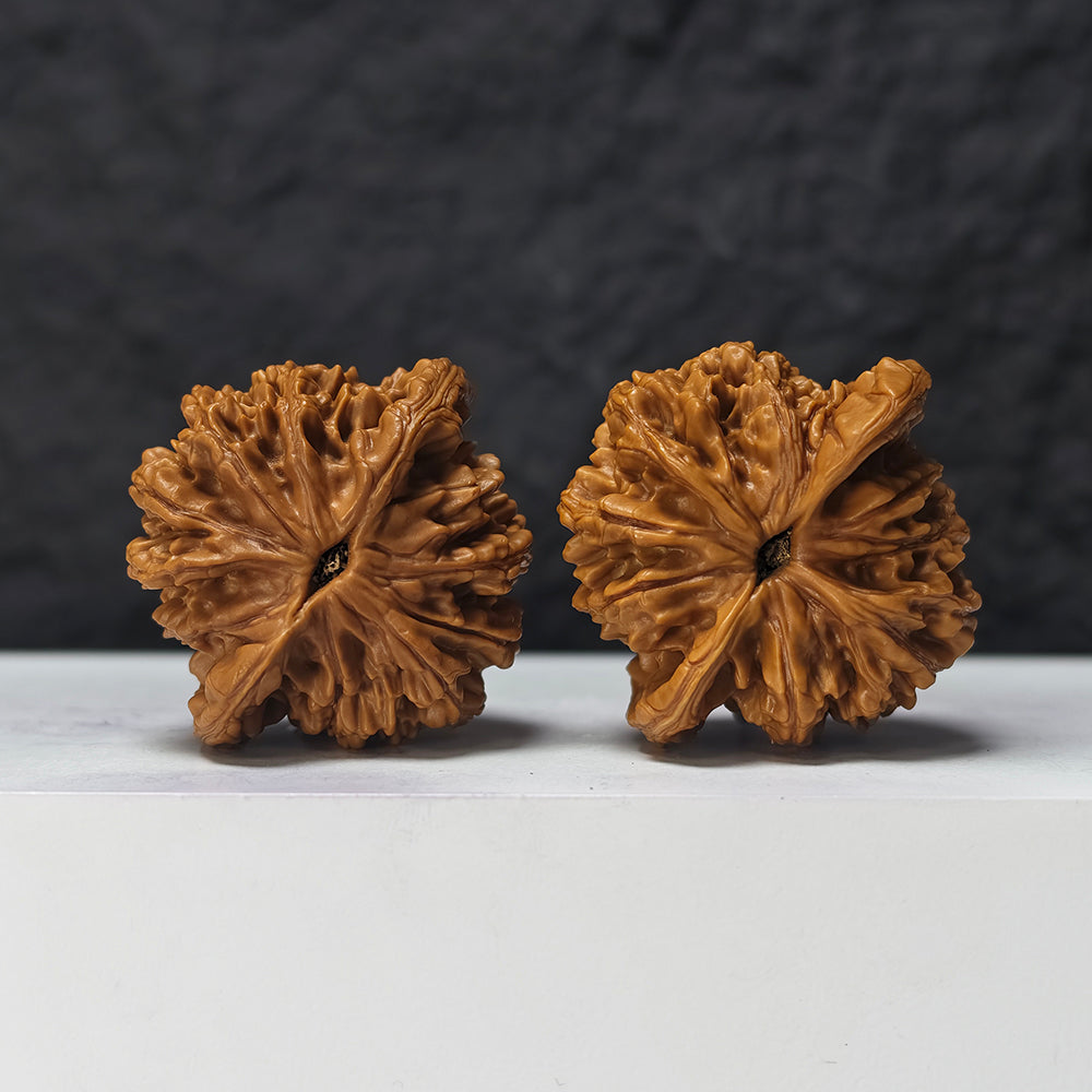 "Squat Liger" Shi Hu Shou Ai Zhuang HT-SS-007920 Masterpiece Wenwan Walnuts Pair | 45.0mm x 42.0mm | HT-SS-007920