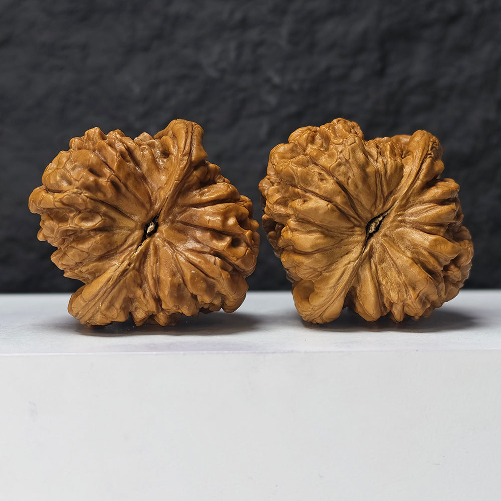 "Dragon Cauldron" Long Ding GM-SSS-011916 Masterpiece Wenwan Walnuts Pair | 52.0mm x 54.0mm | GM-SSS-011916
