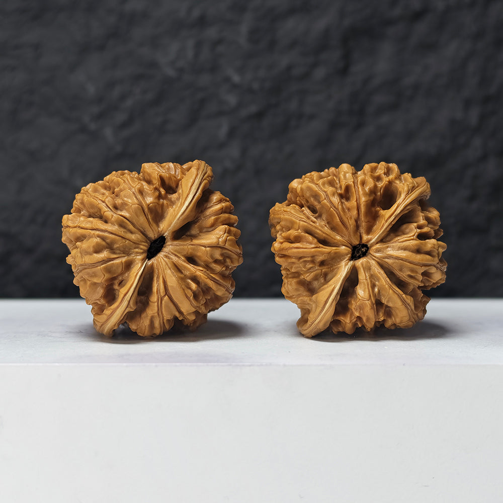 "Dragon Cauldron Valley" Long Ding Gu GM-SS-009918 Masterpiece Wenwan Walnuts Pair | 43.0mm x 41.0mm | GM-SS-009918