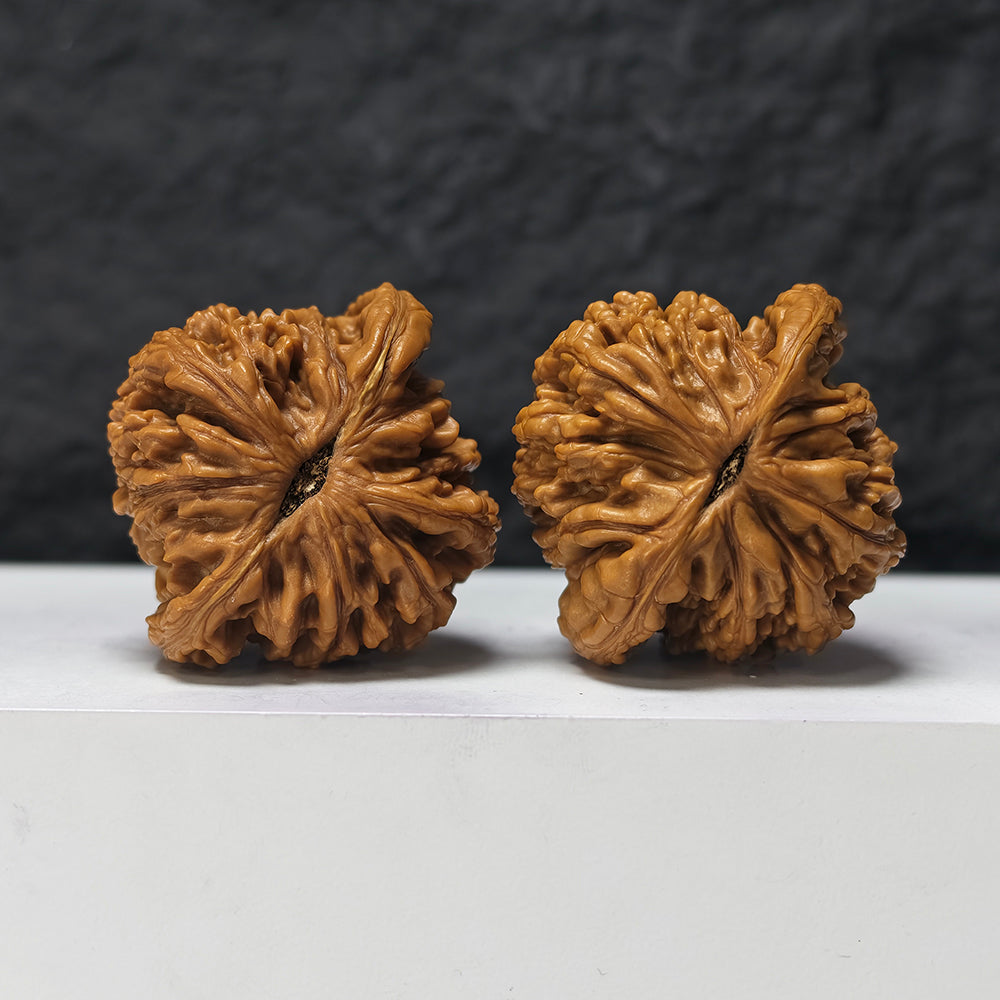 "Liger" Shi Hu Shou HT-SS-006912 Masterpiece Wenwan Walnuts Pair | 47.0mm x 45.0mm | HT-SS-006912