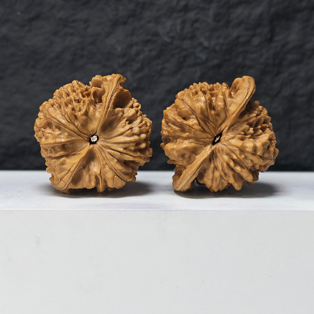 "Concave-Base Kirin Scale Pattern" Qi Lin Wen Ao Di SZ-SSS-016910 Masterpiece Wenwan Walnuts Pair | 53.0mm x 48.0mm | SZ-SSS-016910