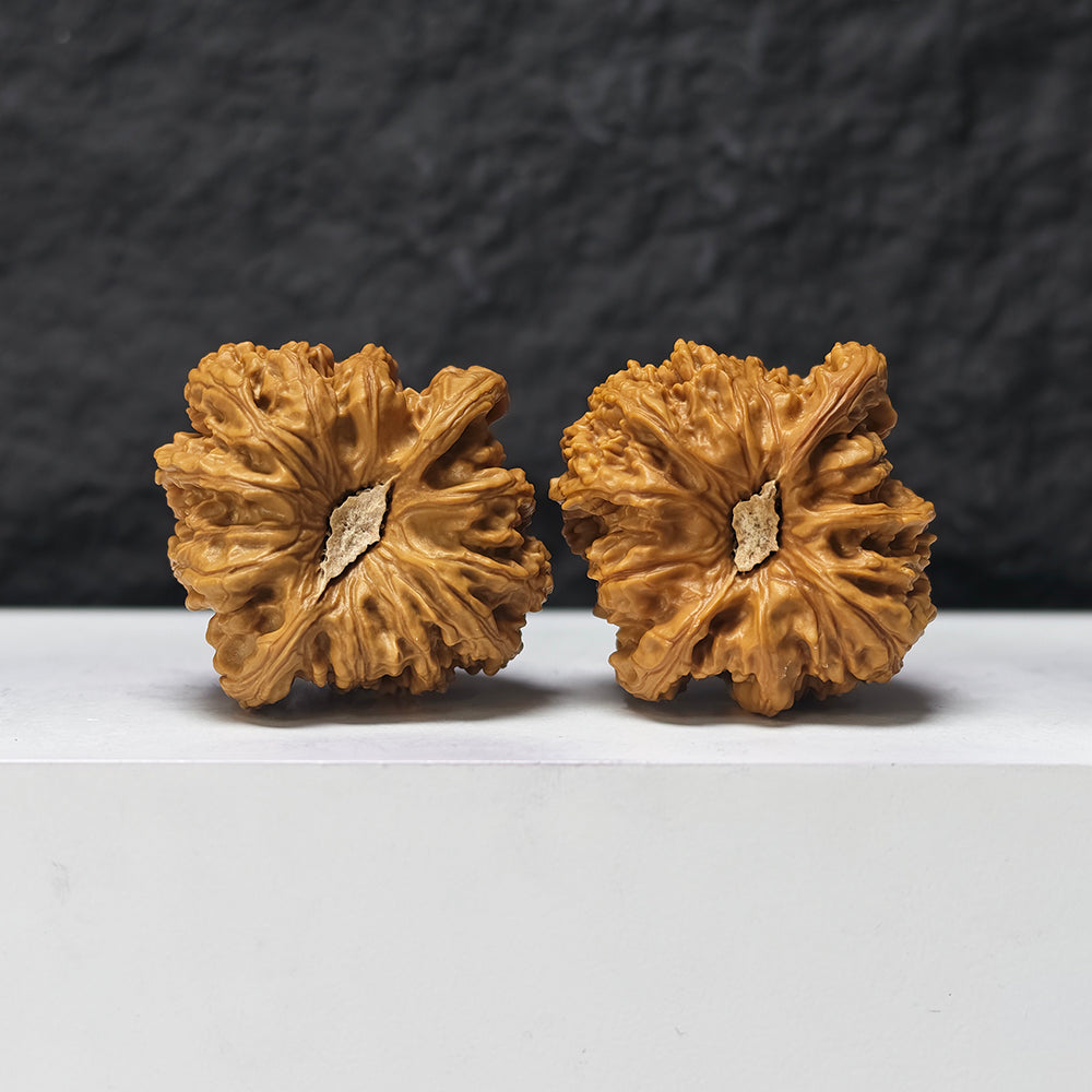 "Dense-Texture Concave Base Ruby" Mi Wen Ao Di Hong Bao Shi HBS-SS-001904 Masterpiece Wenwan Walnuts Pair | 43.0mm x 44.0mm | HBS-SS-001904