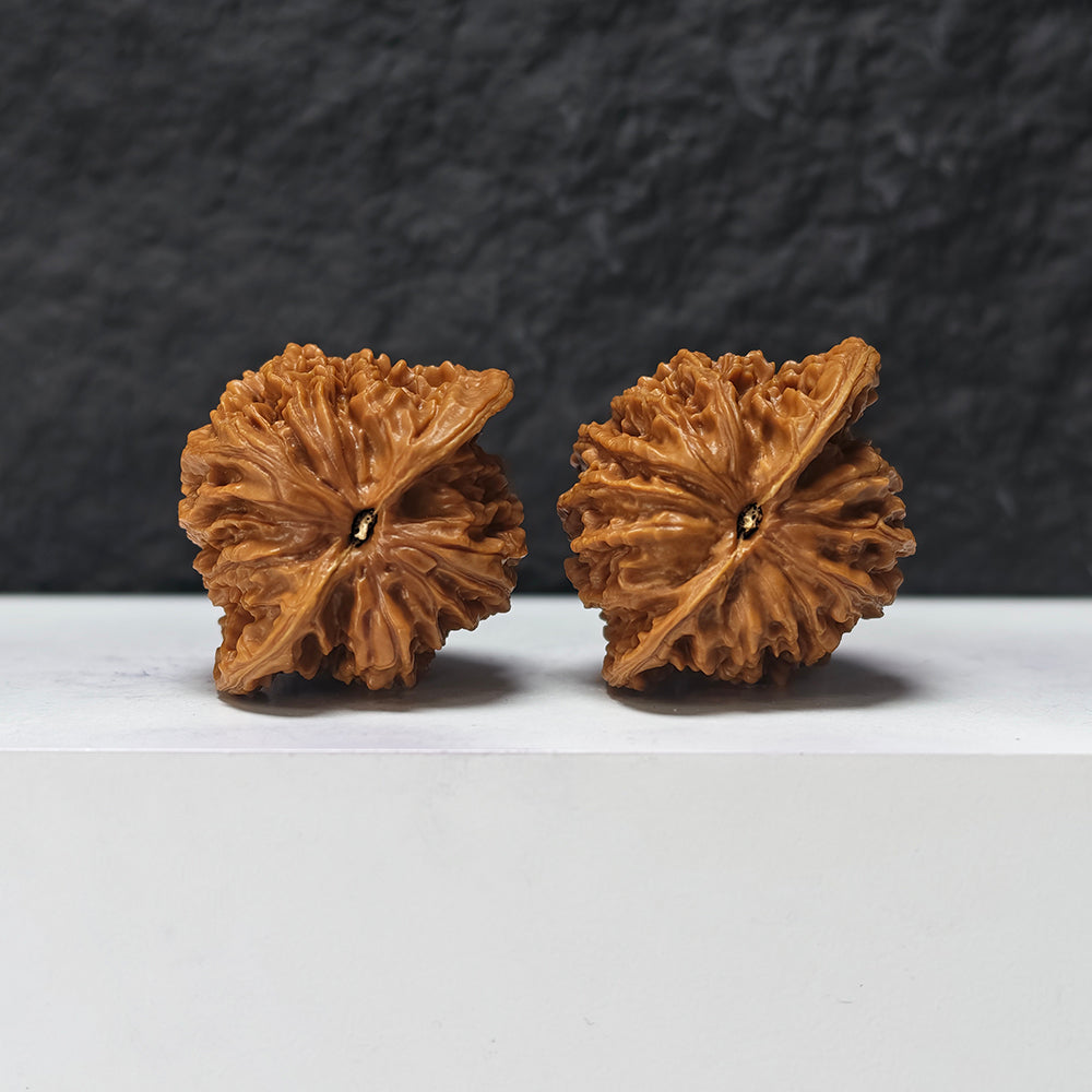 "Coiled Dragon Pattern" Pan Long Wen SZ-SS-023905 Masterpiece Wenwan Walnuts Pair | 44.0mm x 37.0mm | SZ-SS-023905