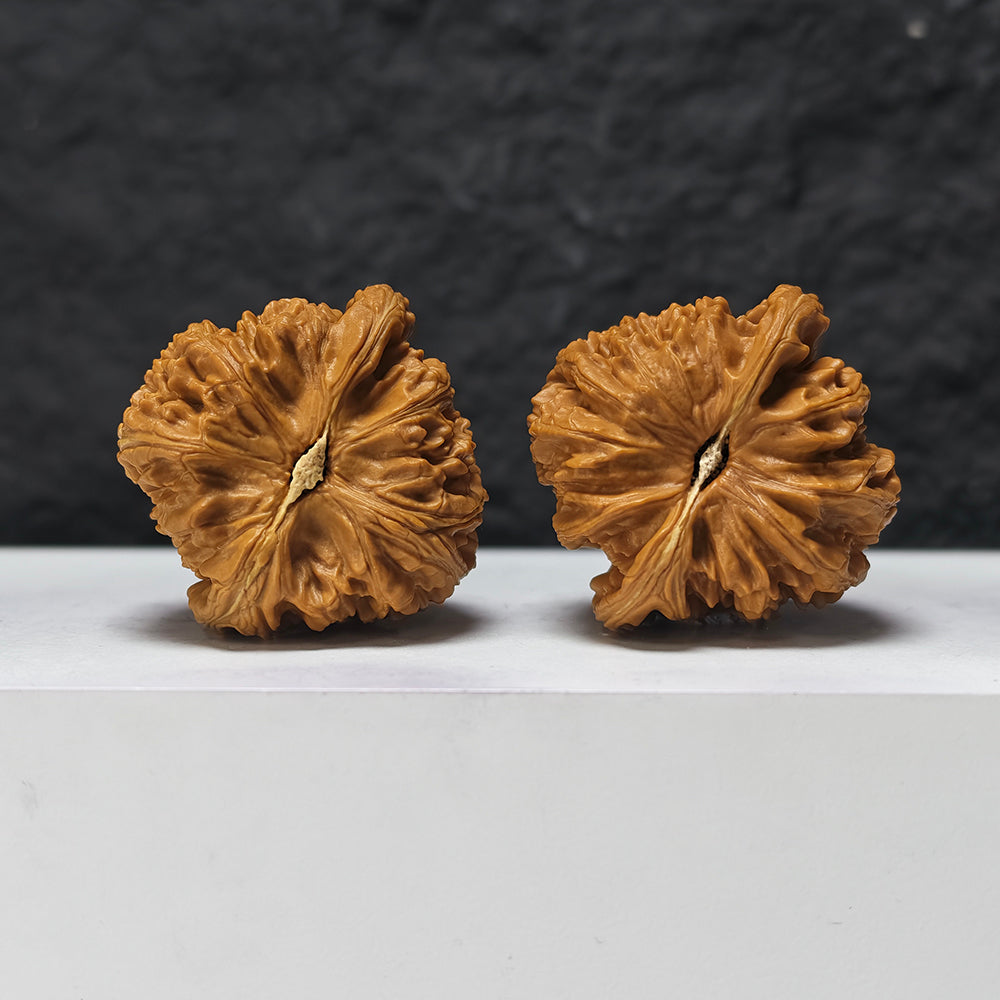"Triangle White Lion" San Jiao Bai Shi Zi BSZ-SSS-002890 Masterpiece Wenwan Walnuts Pair | 44.0mm x 43.0mm | BSZ-SSS-002890