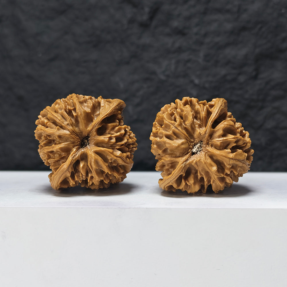 "Jade Qilin" Yu Qi Lin SZ-SSS-015893 Masterpiece Wenwan Walnuts Pair | 47.0mm x 44.0mm | SZ-SSS-015893