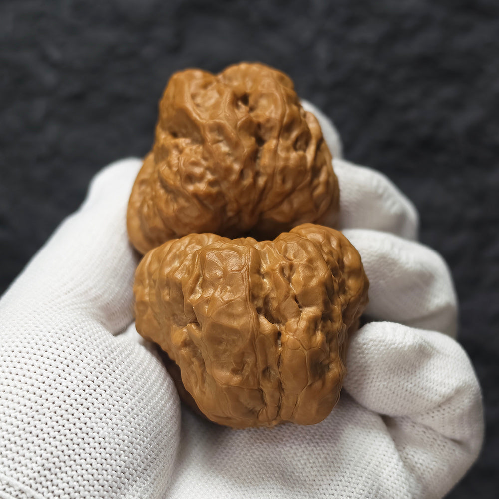 "Toad Head - Buddha Belly Awakening Lion" Ha Ma Tou Fo Du Xing Shi YX-E-185933 Collector Wenwan Walnuts Pair | 44.0mm x 50.0mm | YX-E-185933