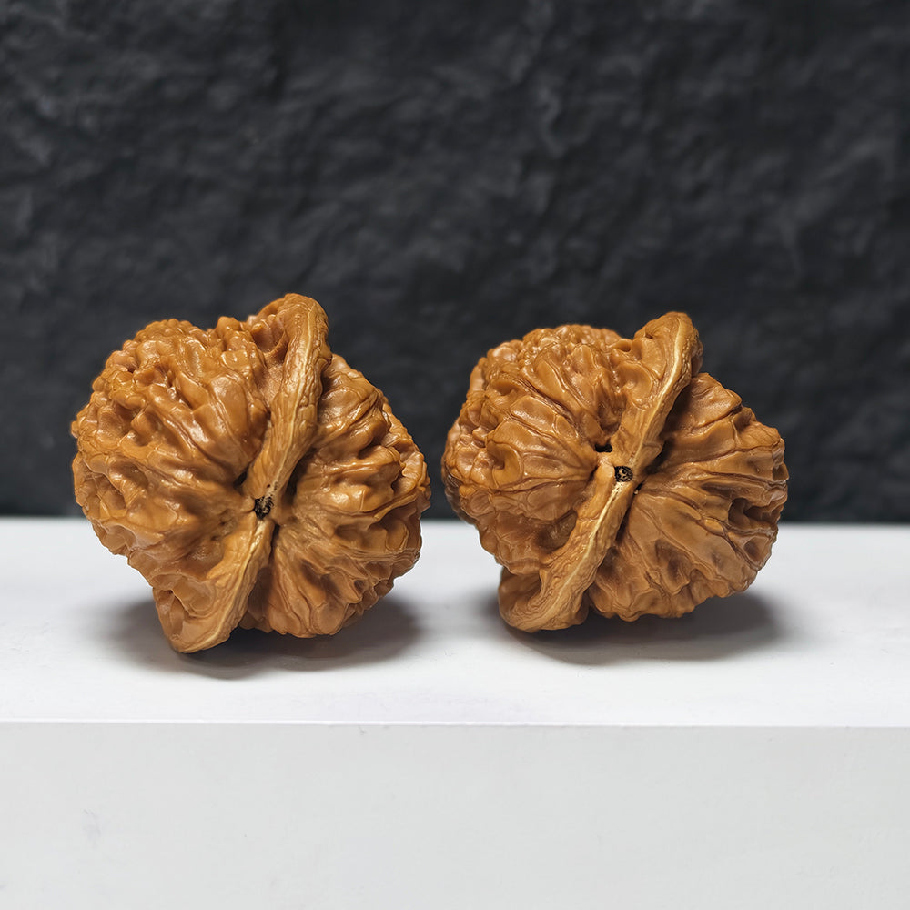 "North China General's Shoulders - Condor" Hua Bei Jiang Jun Pang Zuo Shan Diao YX-E-176907 Collector Wenwan Walnuts Pair | 42.0mm x 42.0mm | YX-E-176907