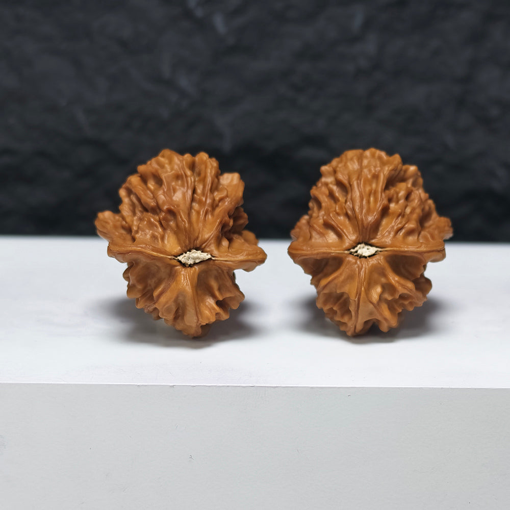 "Dolphin" Hai Tun YX-E-181929 Collector Wenwan Walnuts Pair | 32.0mm x 36.0mm | YX-E-181929