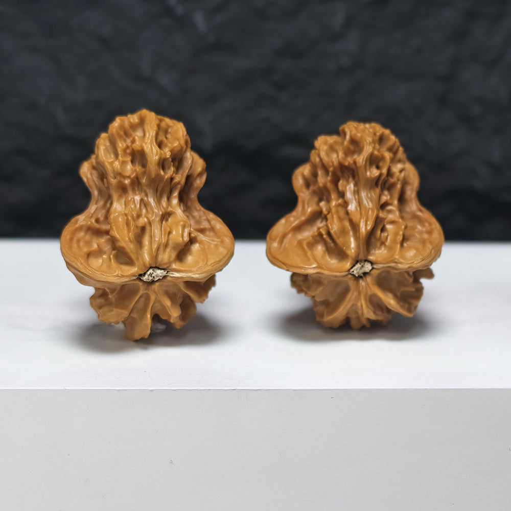 "Mandarin Duck Bird" Yuan Yang Xiao Niao YX-E-180928 Collector Wenwan Walnuts Pair | 33.0mm x 38.0mm | YX-E-180928