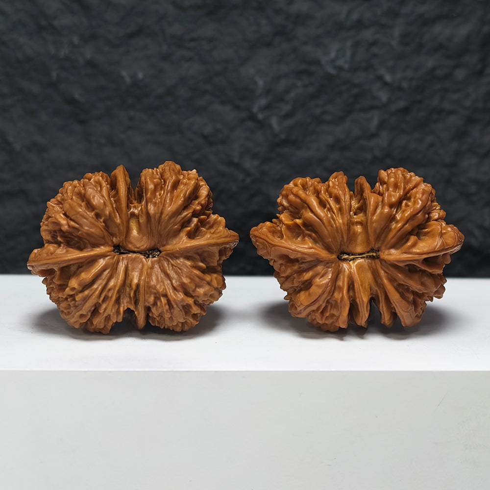 "Dragon Scale Pattern Conjoined Four-Ridge" Long Lin Si Leng Lian Ti YX-E-173877 Collector Wenwan Walnuts Pair | 56.0mm x 42.0mm | YX-E-173877