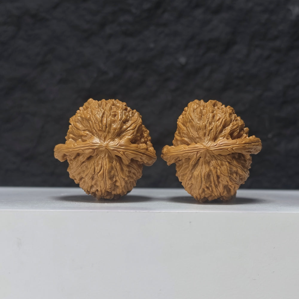 "Spherical White Lion Head" Qiu Xing Bai Shi Zi Collector Wenwan Walnuts Pair | 40.0mm x 40.0mm | BSZ-S-017957
