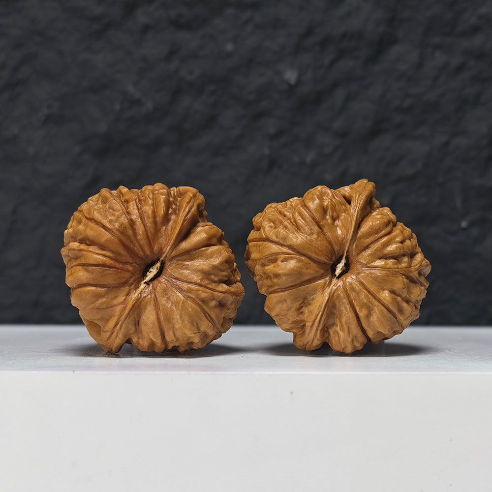 "Little Pumpkin Lion Head" Xiao Nan Gua Lion Head Collector Wenwan Walnuts Pair | 38.0mm x 39.0mm | SZ-S-041951