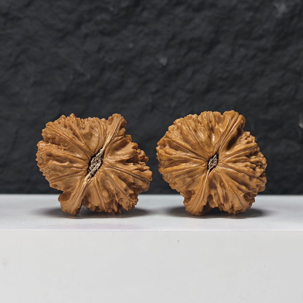 "Spherical White Lion Head" Qiu Xing Bai Shi Zi Collector Wenwan Walnuts Pair | 43.0mm x 42.0mm | BSZ-SS-014953