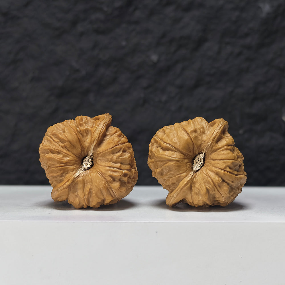 "Concave Base Pumpkin Dun" Ao Di Nan Gua Dun Collector Wenwan Walnuts Pair | 40.0mm x 40.0mm | SZ-S-040947