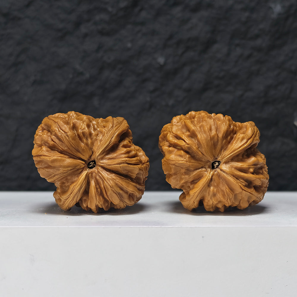 "Rolling Donkey" Lv Da Gun Collector Wenwan Walnuts Pair | 43.0mm x 48.0mm | LDG-SS-005954