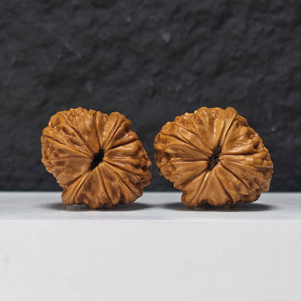 "Pocket Grand Reunion Lion Head" Xiu Zhen Da Tuan Yuan Collector Wenwan Walnuts Pair | 35.0mm x 40.0mm | SZ-S-048975