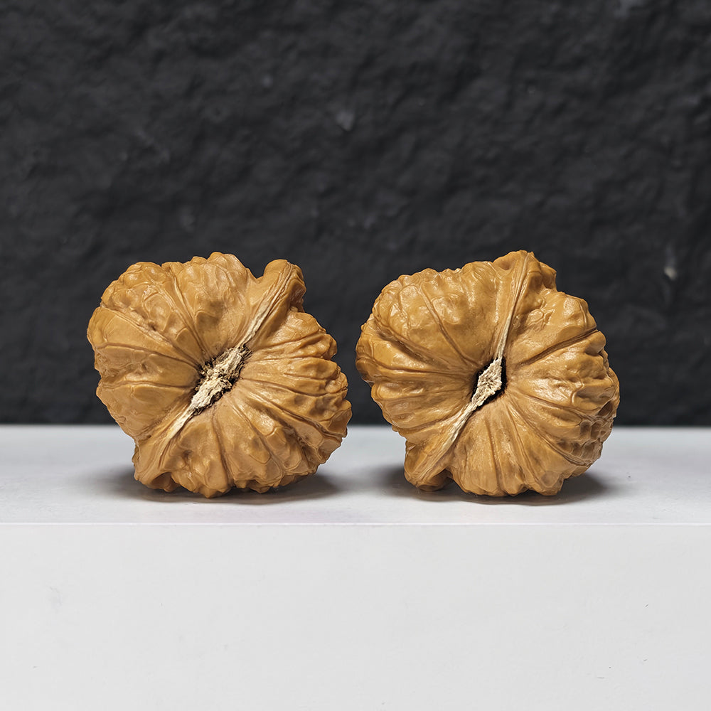 "Pumpkin Dun" Nan Gua Dun SZ-S-038943 Collector Wenwan Walnuts Pair | 43.0mm x 44.0mm | SZ-S-038943