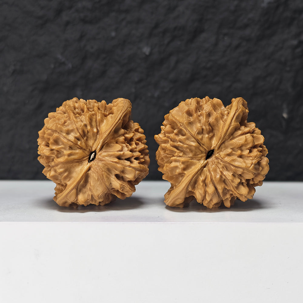 "Qi Lin Pattern Concave Base Squat Lion Head" Qi Lin Wen Ao Di Lion Head Collector Wenwan Walnuts Pair | 50.0mm x 46.0mm | SZ-SS-028976