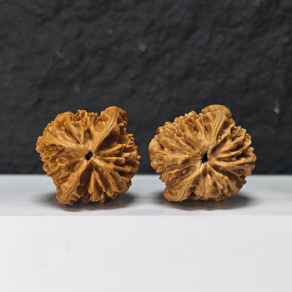 "Nine-Tier Demon Pagoda" Jiu Ceng Yao Ta Collector Wenwan Walnuts Pair | 42.0mm x 42.0mm | JX-SS-005974