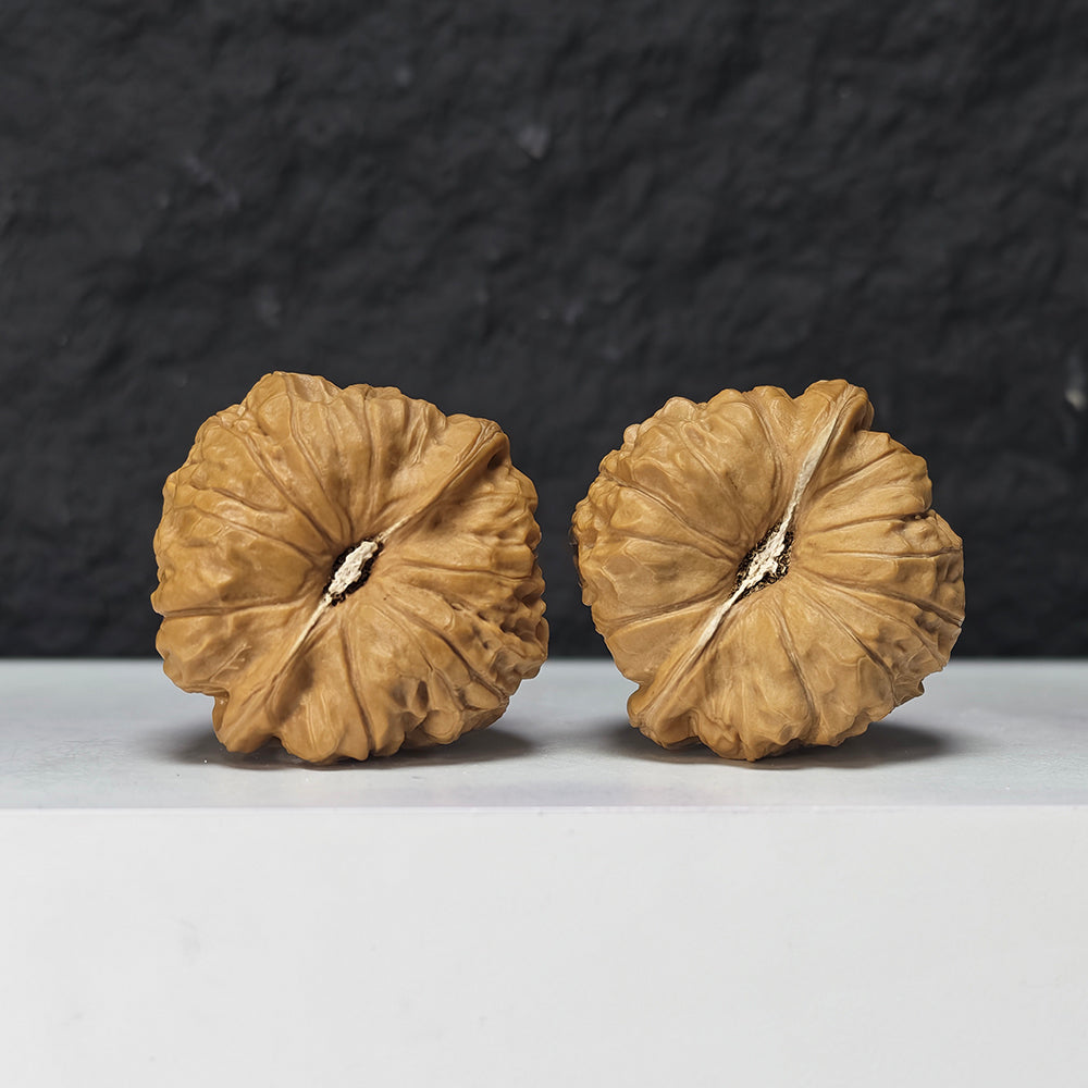 "Little Pumpkin Dun Lion Head" Xiao Nan Gua Dun Collector Wenwan Walnuts Pair | 39.0mm x 39.0mm | SZ-S-044960