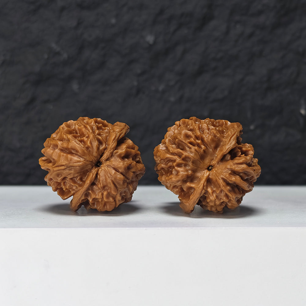 "Gold Ingot Sycee" Jin Ding Yuan Bao Collector Wenwan Walnuts Pair | 35.0mm x 35.0mm | YB-S-001970