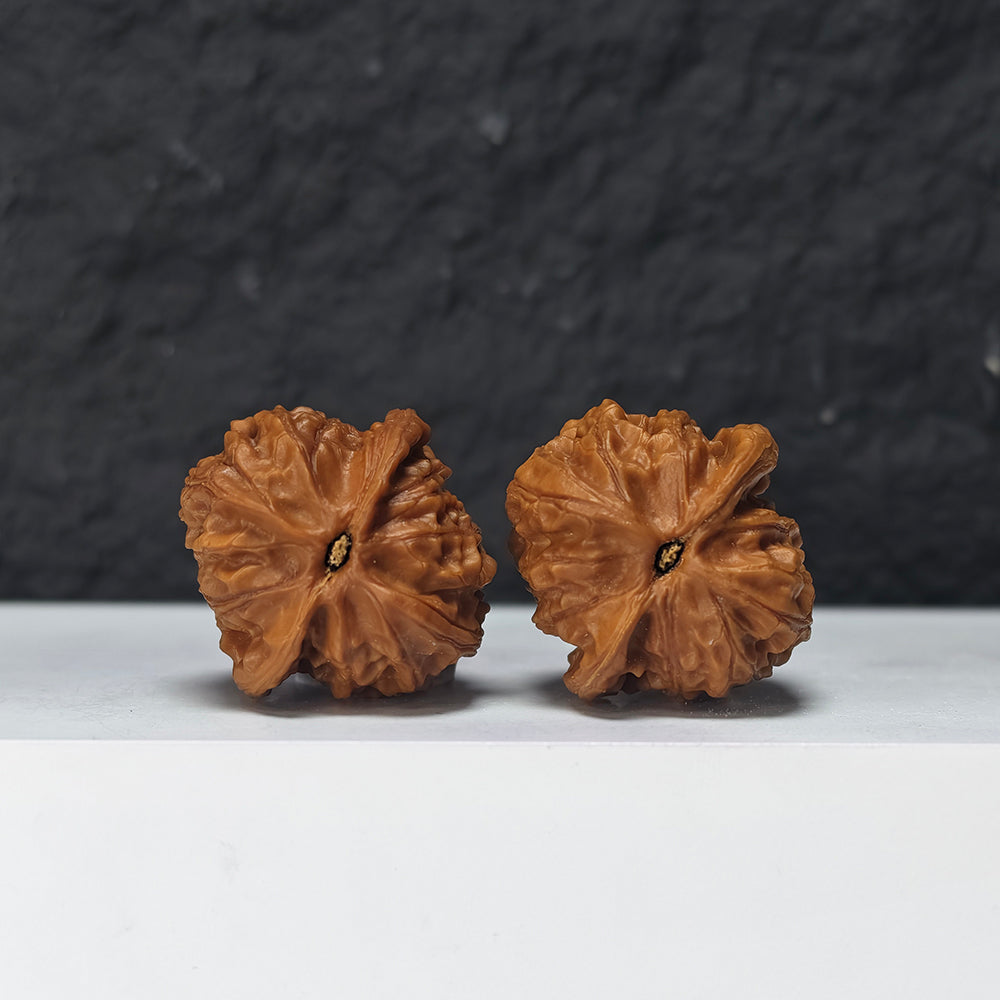 "Miniature Dragon Gall" Xiu Zhen Long Dan Collector Wenwan Walnuts Pair | 34.0mm x 34.0mm | YB-SS-002968