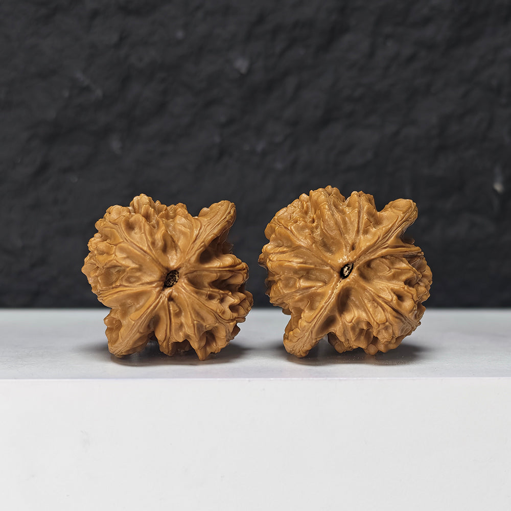 "Shui Quan Gou Scholar Hat" Shui Quan Gou Gong Zi Mao Collector Wenwan Walnuts Pair | 39.0mm x 36.0mm | GZM-S-002969