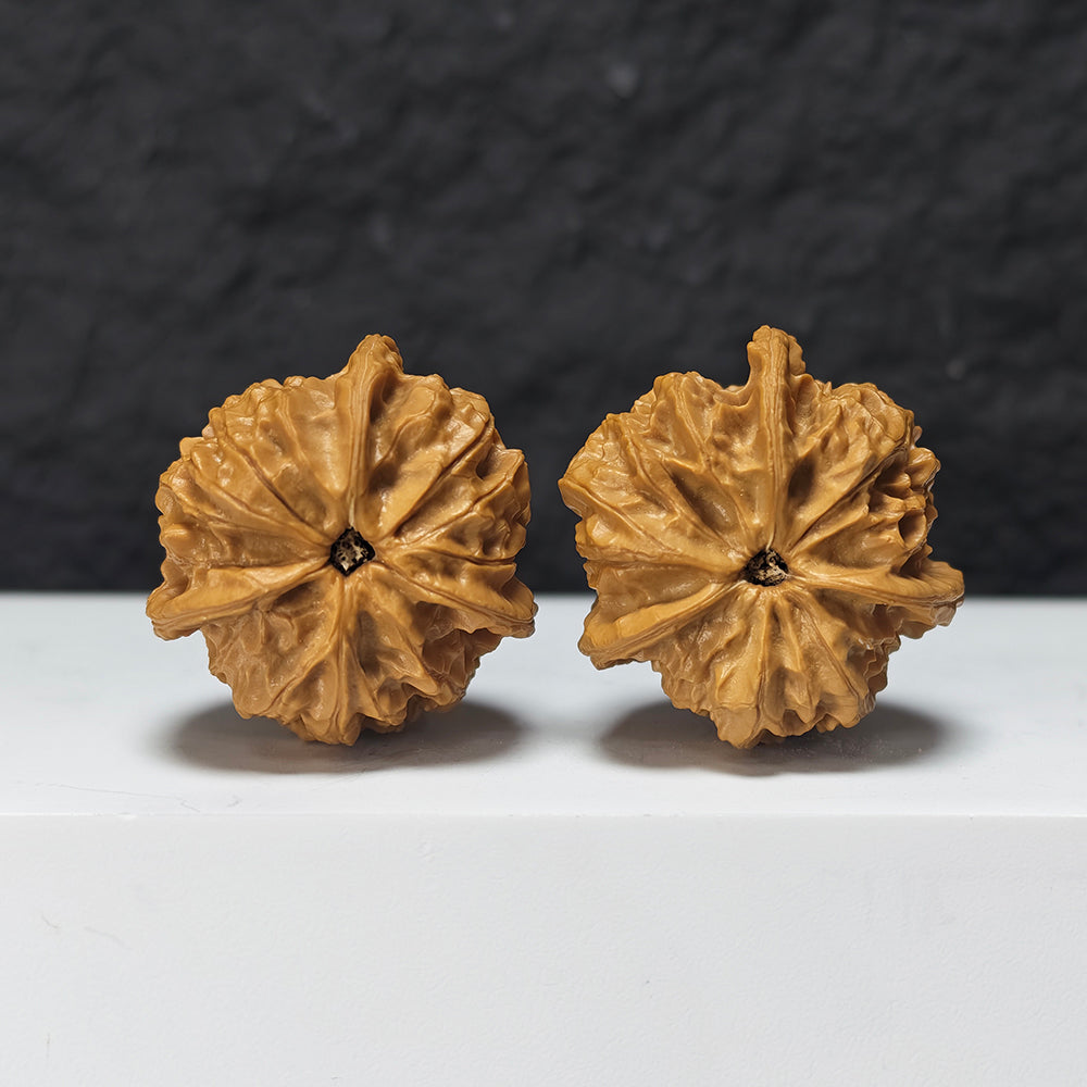 "Imperial Seal Upper Tri-Ridge" Yu Xi San Leng Shang Collector Wenwan Walnuts Pair | 38.0mm x 41.0mm | YX-E-163867