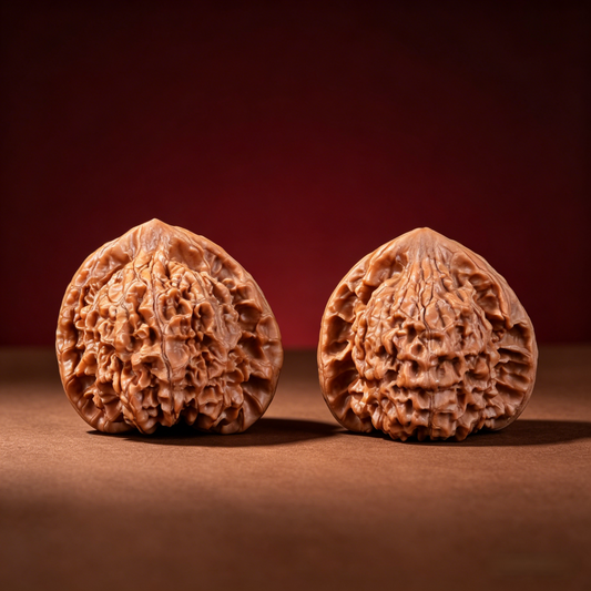 The "Grand Imperial Hat" (Da Guan Mao) Giant Titan Symmetrical Pair | Museum-Grade Holy Grail Oversized Collection | 48.0mm x 42.0mm | GM-A-001 (029)