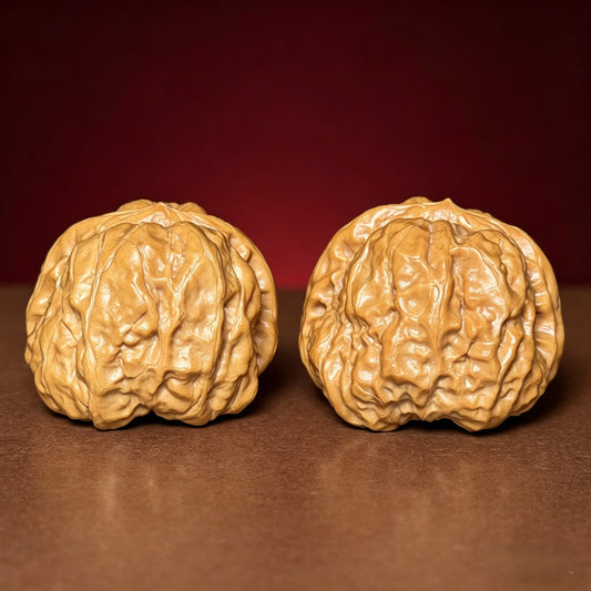 The "Iron-Clad Toad" AA-Grade Selection | 37.0mm (Length) x 38.0mm (Width) | HMT-AA-001078
