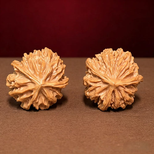 The "Qishan Trinity" (Triple-Ridge) A-Grade Hand-Rollers | 28.0mm (Length) x 30.0mm (Width) | QSSL-A-001122