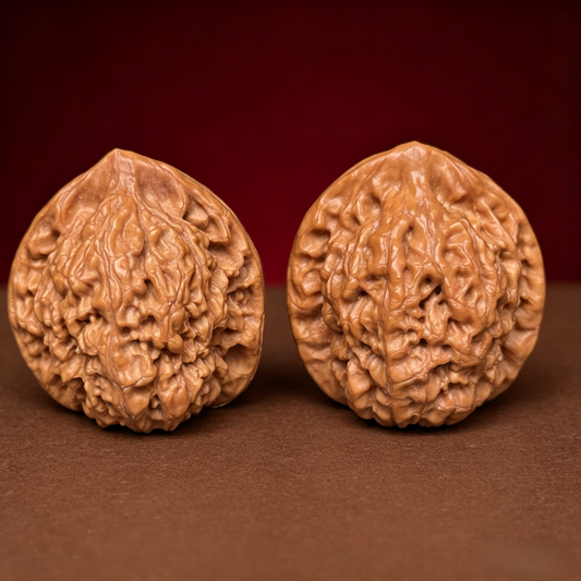 The "Miniature Authority" (Official Hat) A-Grade Hand-Rollers | 33.0mm (Length) x 30.0mm (Width) | GM-A-009132