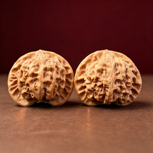The "Imperial Radiance" (Palace Lantern Lion's Head) AA-Grade Elegant Pair | 42.0mm (Length) x 38.0mm (Width) | SZ-AA-014197