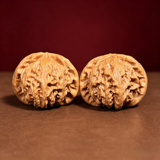 The "Imperial Lantern" (Symmetrical Palace Lion's Head) A-Grade 1:1 Pair | 40.0mm (Length) x 39.0mm (Width) | SZ-A-024199