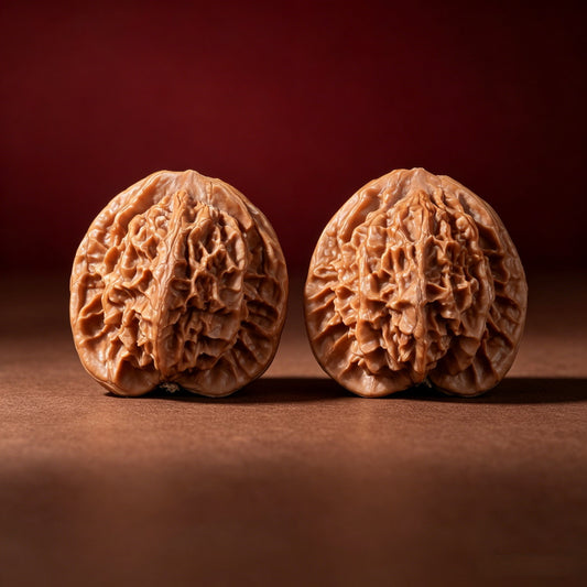 The "Noble Scholar" (Prince Qin Lion's Head) A-Grade Elegant Pair | 40.0mm (Length) x 36.0mm (Width) | QGZ-A-001015