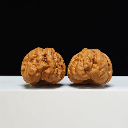 The "Toad Head" Ultimate Collector's Symmetrical Pair | 42.0mm x 43.0mm | HMT-SSS-001507