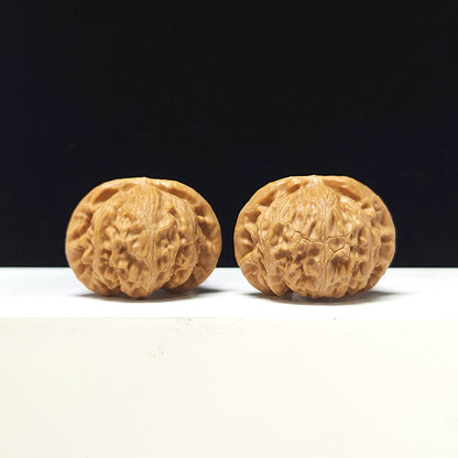 The "Lantern" Collector Pair | AA-Grade Collector Tier | 41.0mm x 36.0mm | SZ-AA-058713