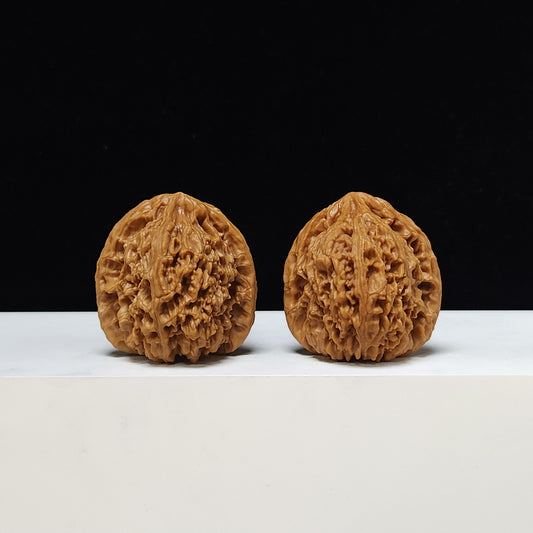 The "Nanshan Stone Concave Base Red Shell" S-Grade Ruddy Shell Master Pair | Vintage Tone Specimen & Hard Shell Collection | 40.0mm x 42.0mm | NJS-S-001519