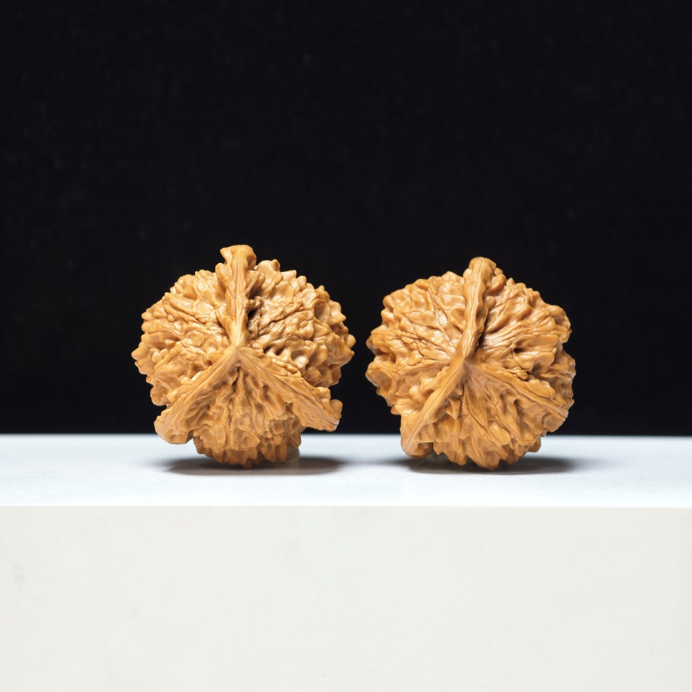 The "Mount Pan Three-Ribbed" Pan Shan San Leng Exotic Collector Pair | Rare Form Tier | 40.0mm x 40.0mm | YX-E-146850