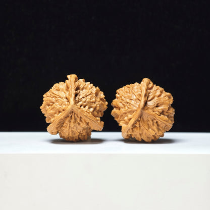 The "Mount Pan Three-Ribbed" Pan Shan San Leng Exotic Collector Pair | Rare Form Tier | 40.0mm x 40.0mm | YX-E-146850
