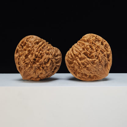The "Qilin Texture Concave-Base Peach-Heart" Qi Lin Wen Tao Xin Ao Di Lion's Head Pair | SS-Grade Masterpiece Tier | 51.0mm x 44.0mm | SZ-SS-015488