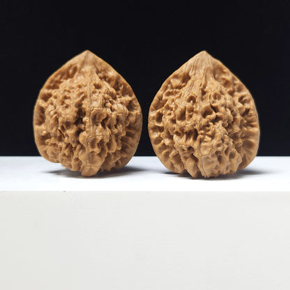 The "Official's Hat Guan Mao" Collector Pair | A-Grade Collector Tier | 44.0mm x 40.0mm | GM-A-024751