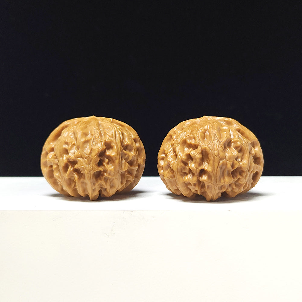 The "Lantern" Collector Pair | AA-Grade Collector Tier | 41.0mm x 41.0mm | SZ-AA-057712