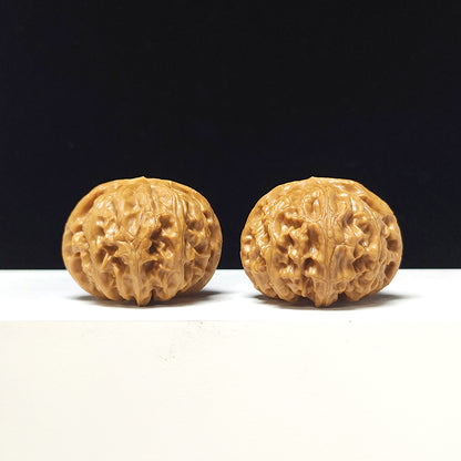The "Lantern" Collector Pair | AA-Grade Collector Tier | 41.0mm x 41.0mm | SZ-AA-057712