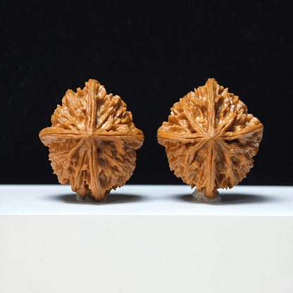 The "Four-Ribbed Coiled Dragon Tiger Head" Pan Long Hu Tou Si Leng Exotic Collector Pair | Rare Form Tier | 44.0mm x 50.0mm | YX-E-128832