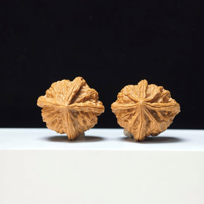 The "Imperial Jade Seal Four-Ribbed" Yu Xi Si Leng Exotic Collector Pair | Rare Form Tier | 38.0mm x 40.0mm | YX-E-129833