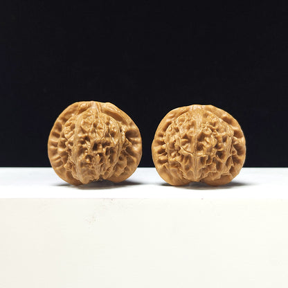 The "Deng Long Lantern" Collector Pair | A-Grade Collector Tier | 39.0mm x 34.0mm | DL-A-004717